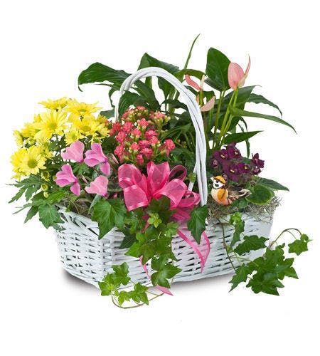 "Mom's Garden" Floral Arrangements Boesen the florist Des Moines
