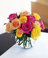 Color Mix Roses
