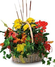 Blooming Harvest Basket