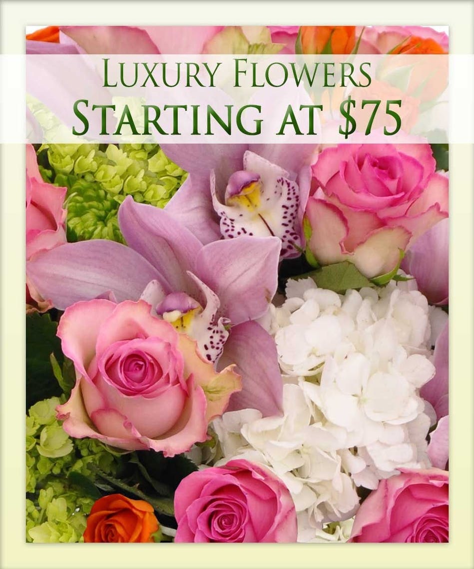 Luxury Flowers Designer's Choice Boesen the Florist Des Moines Iowa