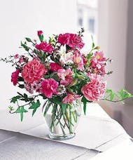 Cheerful Carnations